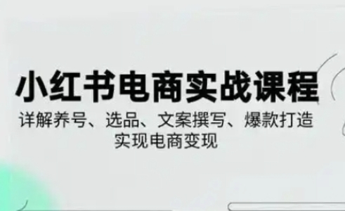小红书从0-1实操课(2023-2025),详解养号、选品、文案撰写、爆款打造实现电商变现-魔方云
