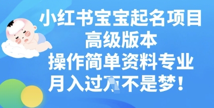 小红书宝宝起名项目高级版本,操作简单,资料专业,月入过W-魔方云