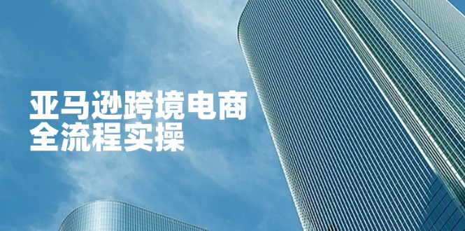 (14252期)亚马逊跨境电商全流程实操,教你从零开始,掌握店铺运营与广告技巧-魔方云