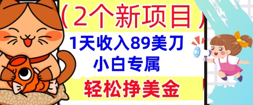 2个新项目,轻松挣美金, 1天收入89美刀,小白专属,干货分享-魔方云