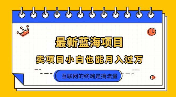 (14289期)2025年最新蓝海项目,卖项目小白也能月入过万-魔方云