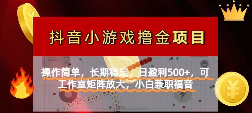(14290期)【抖音小游戏发行人计划项目】操作简单,长期稳定,日盈利500+,可工作...-魔方云