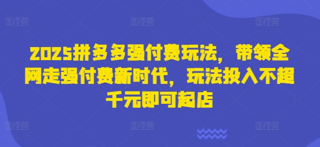 2025拼多多强付费玩法,带领全网走强付费新时代,玩法投入不超千元即可起店-魔方云