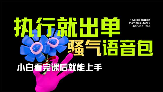(14170期)爆火全网的开车导航骚气语音包,只要执行就出单,小白看完课程就能实操...-魔方云